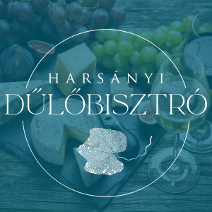 sarospatak_dulobisztro_borkostolo